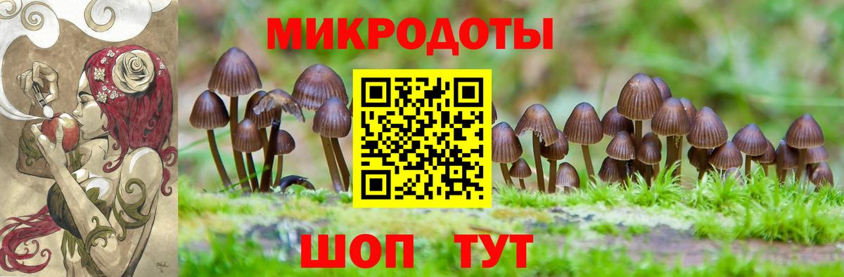 Галлюциногенные грибы Cubensis  Вход с VPN  наркота  Сатка 